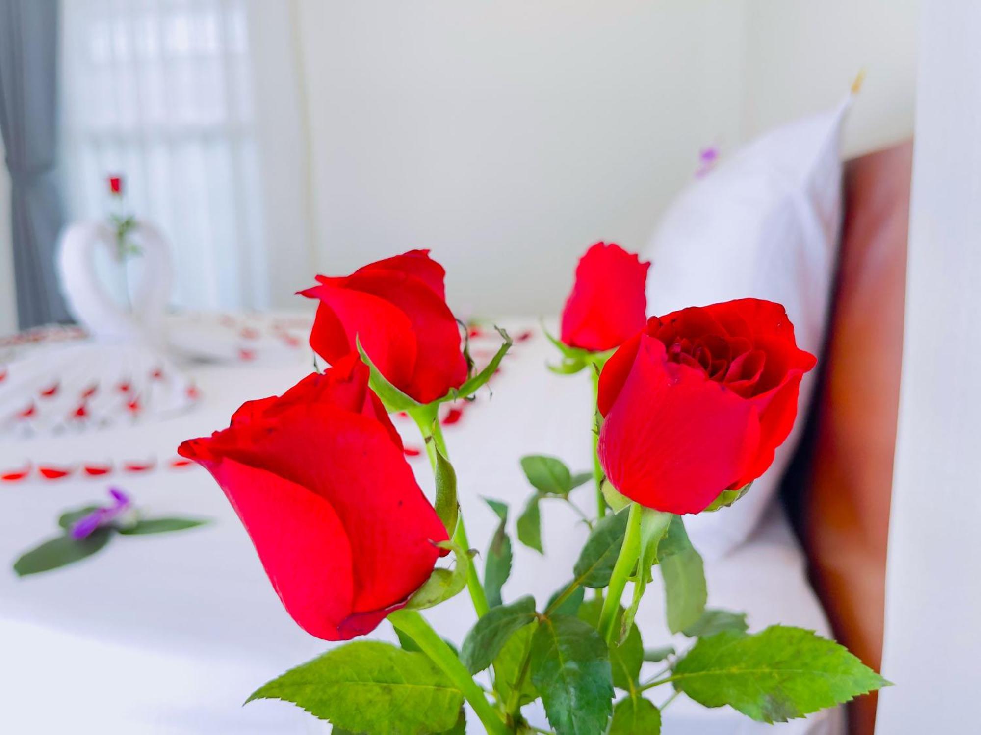 Sea Breeze Resort Sihanoukville Ngoại thất bức ảnh